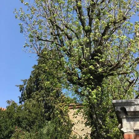 Les Marronniers Bed & Breakfast Saint-Didier-en-Velay
